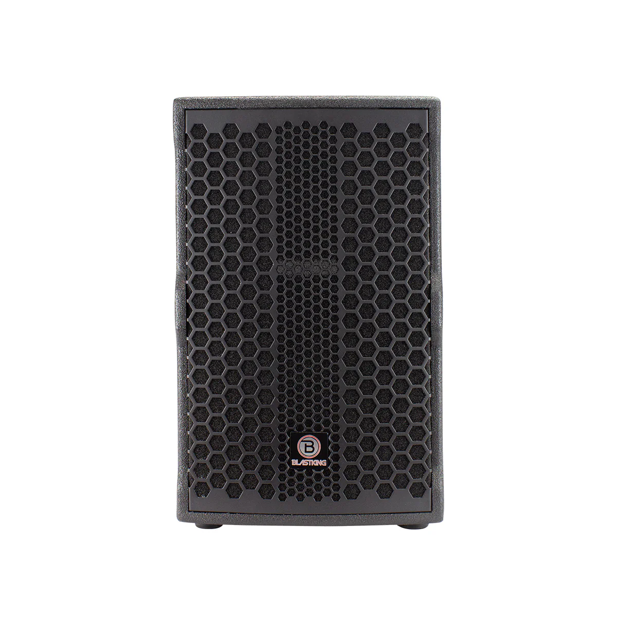 Blastking Novo 10 Pro 10'' Powered Monitor